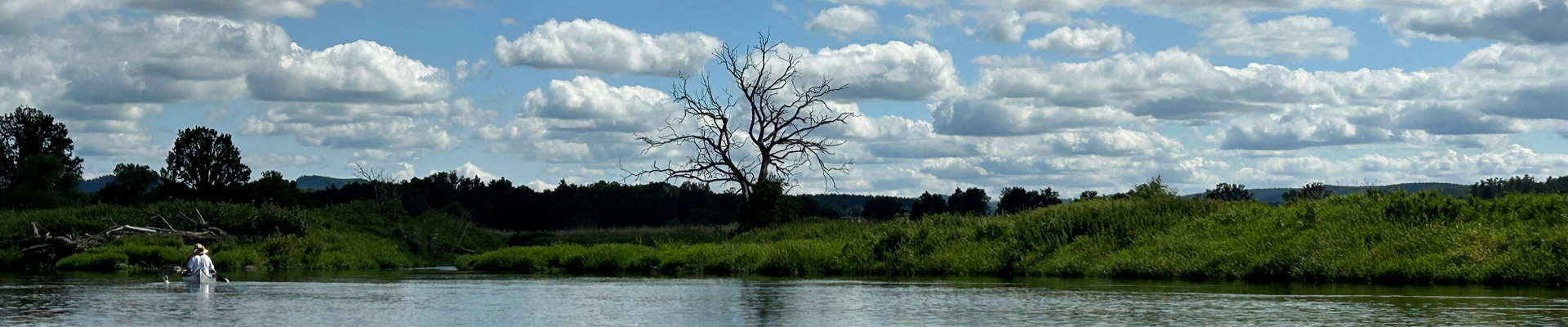 Mückenstich